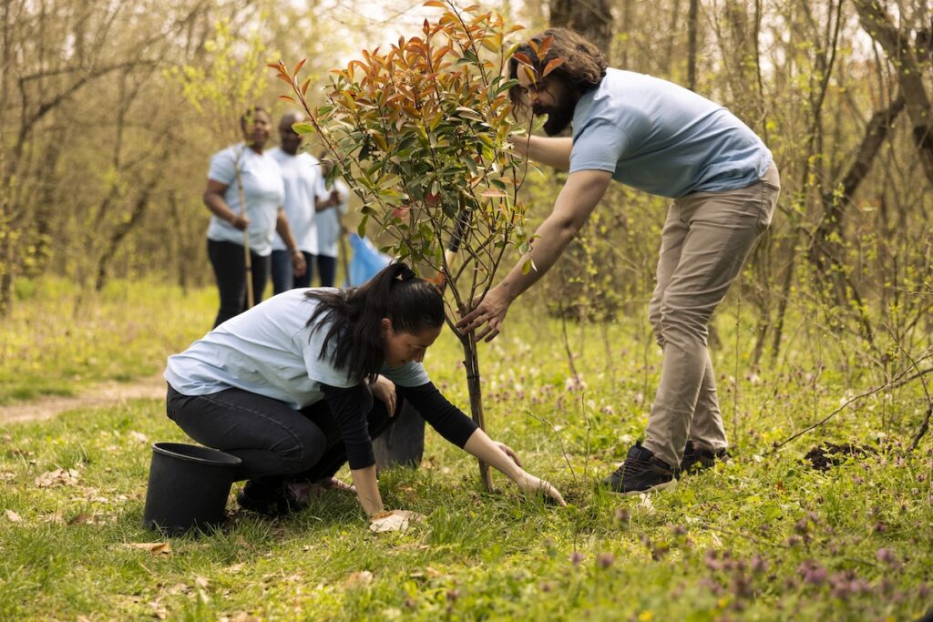 An example of environmental work that builds purpose in the Patagonia's career opportunities.